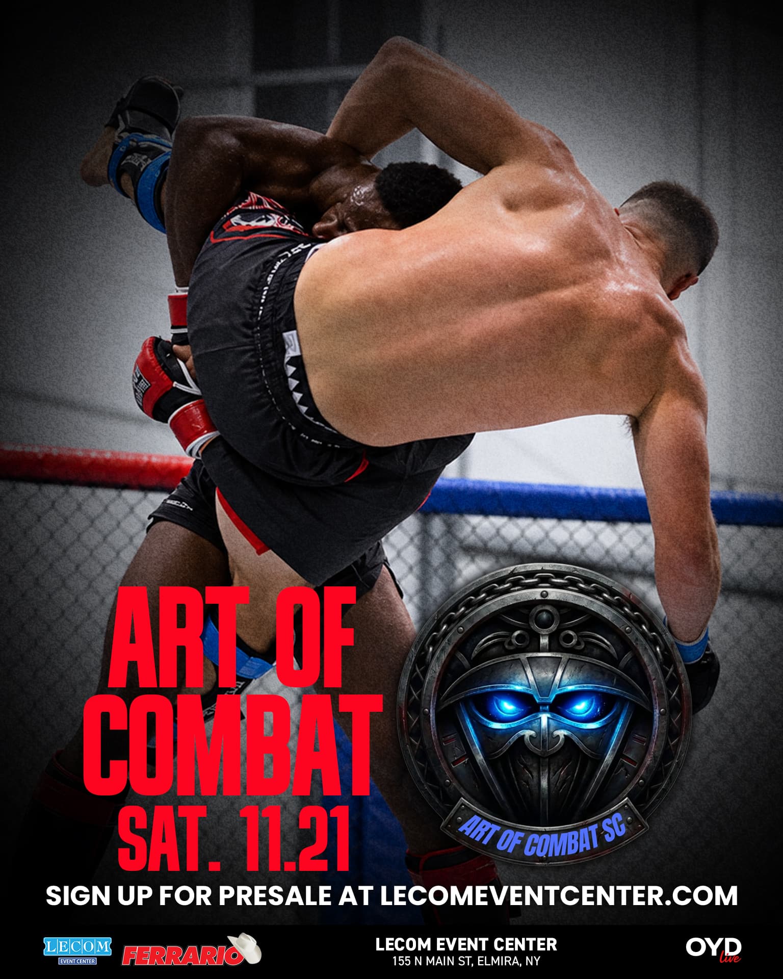 Art of Combat poster: two MMA fighters grappling on the cage floor under the Art of Combat SC logo, Saturday November 21 at the LECOM Event Center in Elmira, NY
