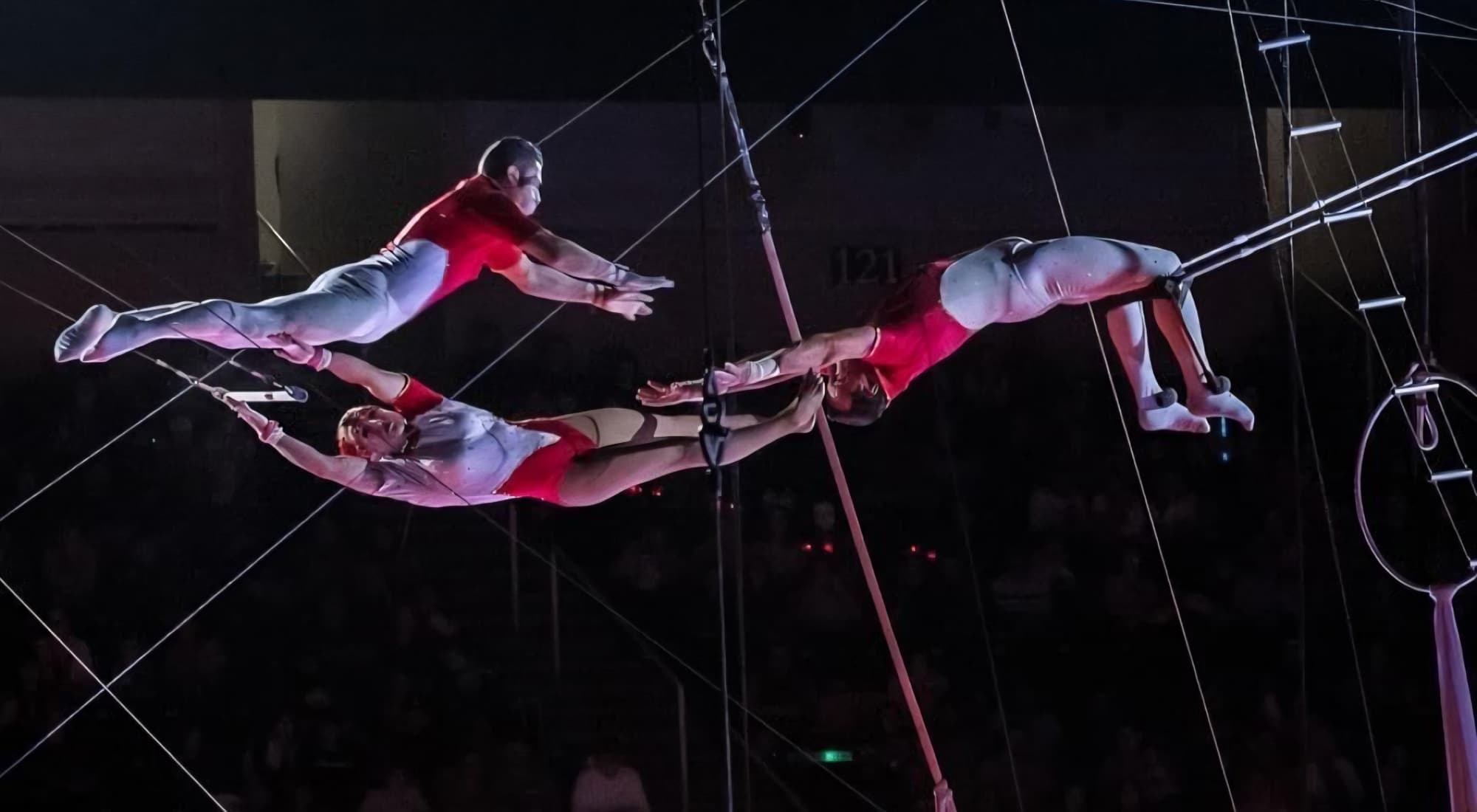Three flying trapeze artists mid-catch above the arena